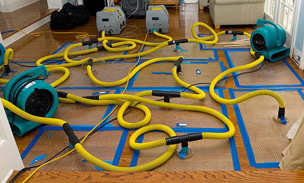Professional Crawl Space Water Removal technician working in Clayton, MI